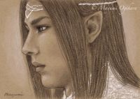 Elven Prince